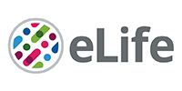 elife-2020-new-logo