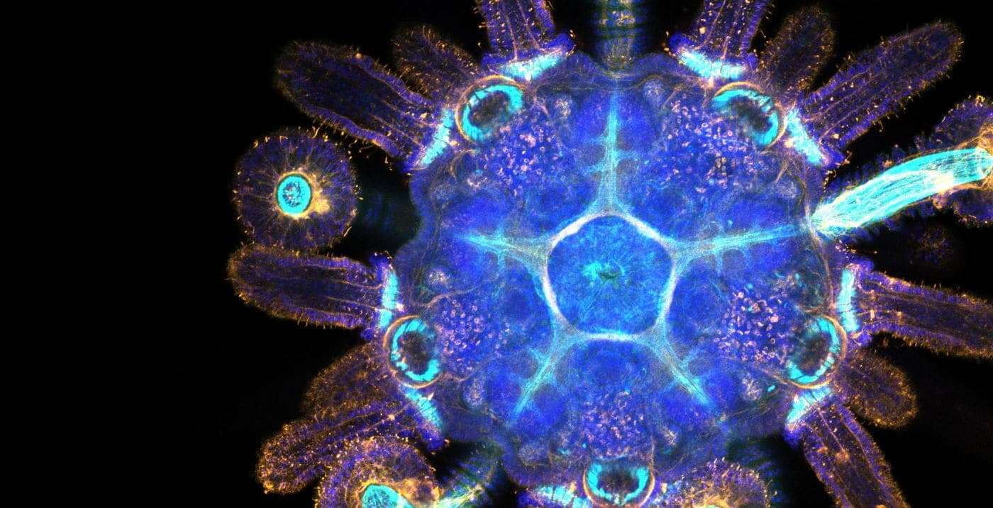 1400x716-bioart23